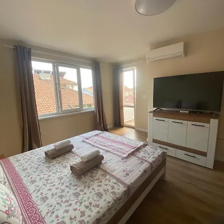 Apartament теди